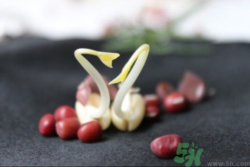 紅豆可以發(fā)豆芽嗎？紅豆芽可以吃嗎？