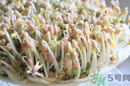 紅豆可以發(fā)豆芽嗎？紅豆芽可以吃嗎？