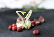 紅豆可以發(fā)豆芽嗎？紅豆芽可以吃嗎？