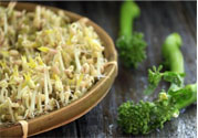 怎樣自己發(fā)綠豆芽？綠豆芽怎樣自己發(fā)？