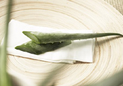 孕婦可以吃蘆薈嗎？孕婦吃蘆薈會(huì)怎樣？