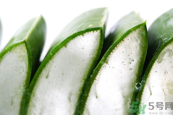 蘆薈有什么功效？蘆薈的功效是什么？