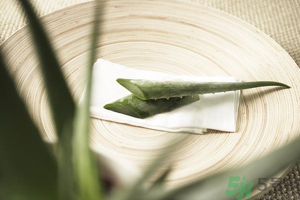 蘆薈可以吃嗎？蘆薈怎么吃？