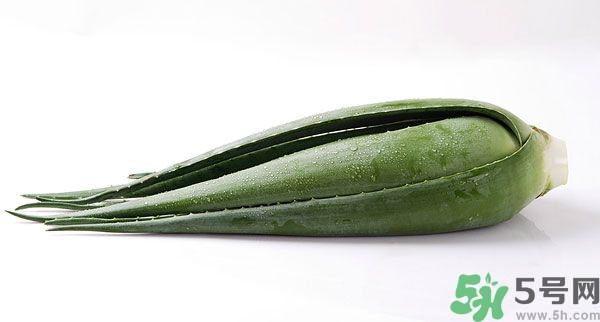 經(jīng)期可以吃蘆薈嗎？經(jīng)期吃蘆薈會(huì)肚子痛嗎？
