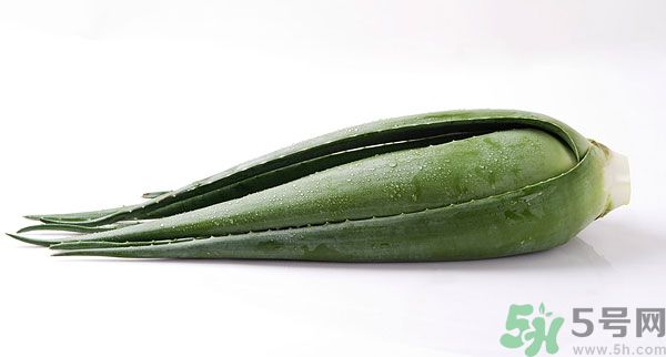 孕婦可以吃蘆薈嗎？孕婦吃蘆薈會(huì)怎樣？