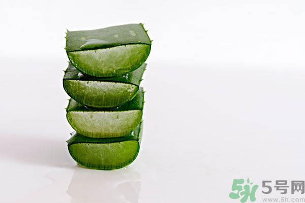 蘆薈是發(fā)物嗎？蘆薈是不是發(fā)物？