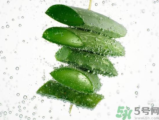 男性可以吃蘆薈嗎？男性吃蘆薈好不好？