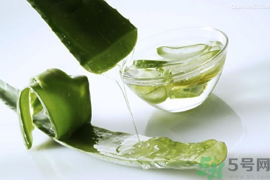 蘆薈的皮可以吃嗎？吃蘆薈要不要削皮？