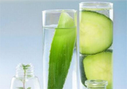 蘆薈酒有什么功效？蘆薈酒的功效是什么？