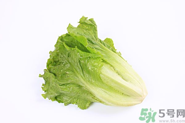 小孩可以吃生菜嗎？小孩吃生菜好嗎？