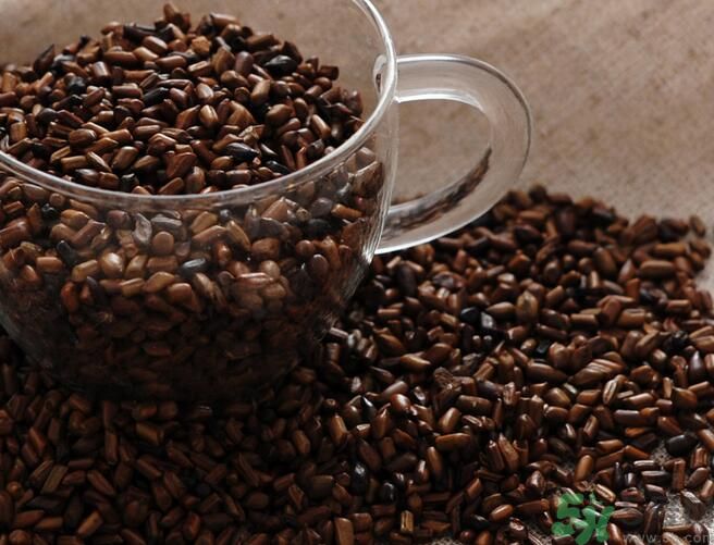 決明子泡茶喝可以減肥嗎？決明子泡茶喝有減肥效果嗎？