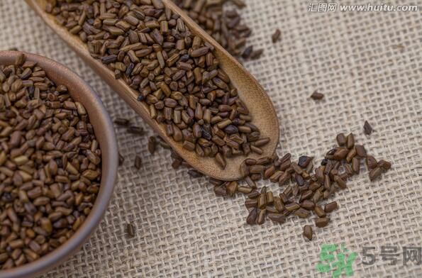 決明子泡茶喝可以減肥嗎？決明子泡茶喝有減肥效果嗎？