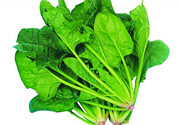 菠菜沒(méi)熟可以吃嗎?菠菜沒(méi)熟吃了會(huì)怎么樣
