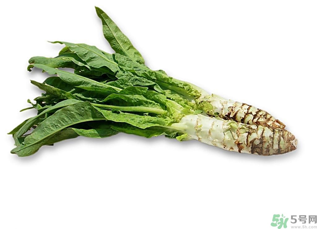 新鮮的萵筍怎么保存？削皮的萵筍怎么保存？