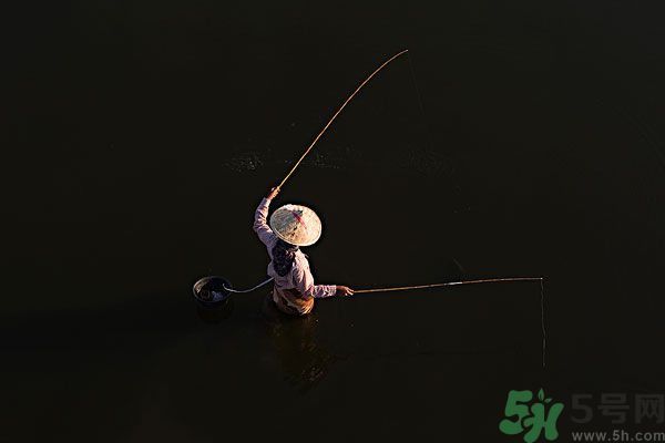 雷陣雨可以釣魚嗎？雷陣雨天氣適合釣魚嗎？