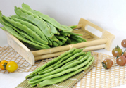 四季豆不好熟怎么辦？四季豆不熟有毒嗎？