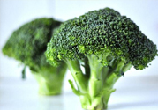 西蘭花是發(fā)物嗎？西蘭花是不是發(fā)物？