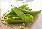 豌豆可以生吃嗎？生吃豌豆有什么好處？