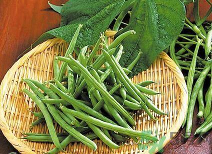 四季豆可以和冬瓜一起吃嗎？四季豆可以和冬瓜一起炒嗎？