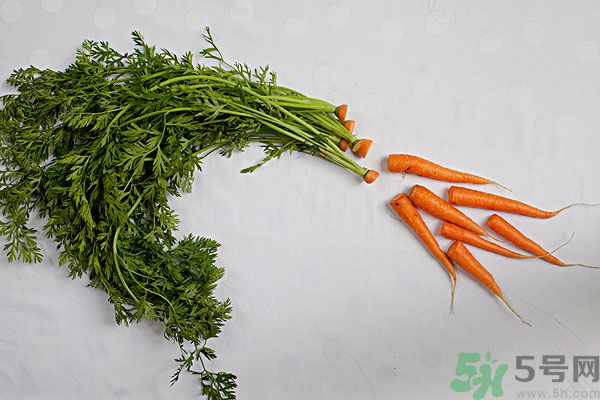 吃西瓜能防曬嗎？吃巧克力能紫外線嗎？