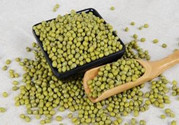 綠豆沒(méi)煮熟能吃嗎?綠豆沒(méi)煮熟會(huì)中毒嗎