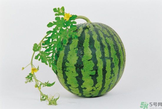 西瓜怎么挑熟的甜的？西瓜的儲(chǔ)存方法？