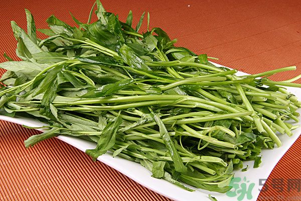 空心菜是菠菜嗎？空心菜是不是菠菜？