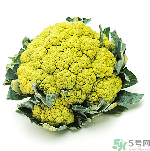 玉川和斯利安哪個好？葉酸片什么牌子最好？