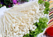 金針菇可以和土豆一起吃嗎?金針菇能和土豆同吃嗎?