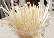 吃金針菇可以喝牛奶嗎?金針菇能和牛奶一起吃嗎?
