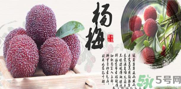 吃楊梅可以防止中暑嗎？中暑可以吃楊梅嗎？