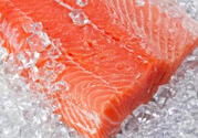 三文魚可以冷凍嗎?三文魚能冷凍嗎?