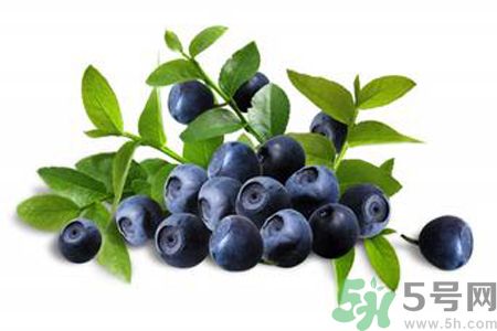 藍莓是不是發(fā)物？藍莓是發(fā)物嗎？