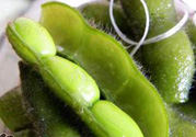 毛豆可以和土豆一起吃嗎?毛豆能和土豆同吃嗎?