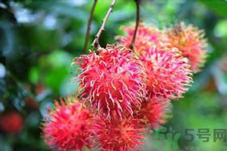 寶寶可以吃紅毛丹嗎？寶寶多大了可以吃紅毛丹？