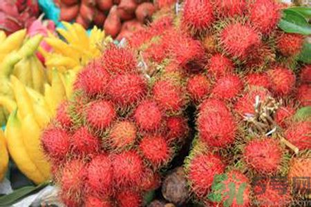 紅毛丹的殼可以吃嗎？紅毛丹的皮可以吃嗎？