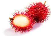 紅毛丹的殼可以吃嗎？紅毛丹的皮可以吃嗎？
