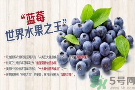 衣服上面染上了藍(lán)莓汁怎么辦？藍(lán)莓漬怎么清洗？