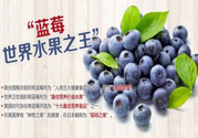 藍(lán)莓果醬怎么做好吃？藍(lán)莓果醬的做法
