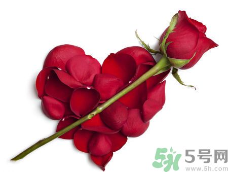 父親節(jié)送什么花好？父親節(jié)送什么花？