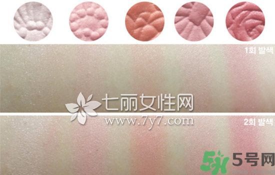 canmake花瓣腮紅色號對比圖？canmake五色花瓣腮紅試色