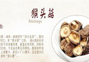  哺乳期可以吃猴頭菇嗎？產(chǎn)婦可以吃猴頭菇嗎？