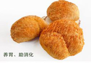 猴頭菇是發(fā)物嗎？猴頭菇是不是發(fā)物？