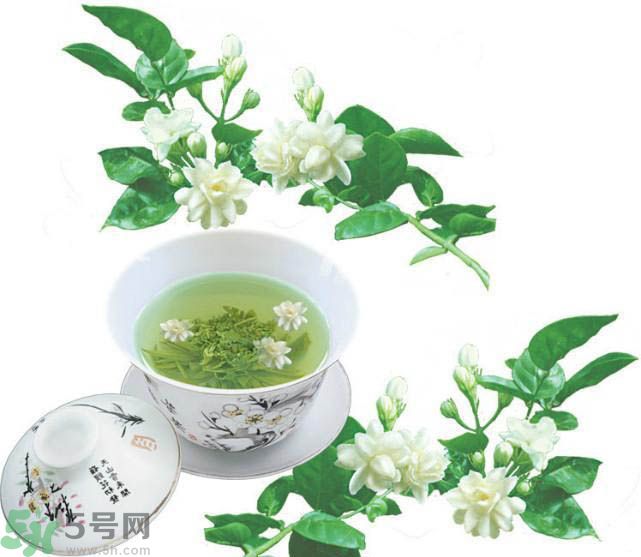 茉莉花茶可以減肥嗎？怎樣喝茉莉花茶可以減肥？