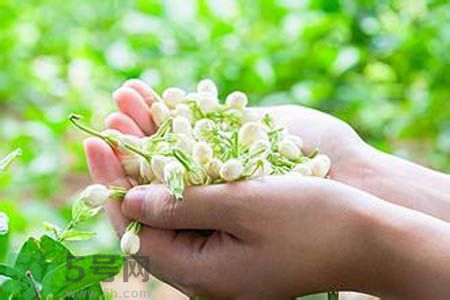 痛風(fēng)可以喝茉莉花茶嗎？痛風(fēng)喝茉莉花茶好嗎？