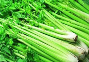 芹菜天天吃好嗎?芹菜天天吃有什么好處
