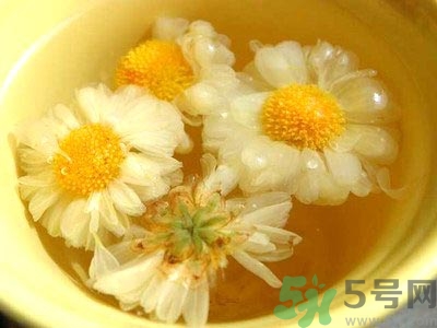 女生可以喝什么茶排毒養(yǎng)顏？女生喝什么茶可以美容？