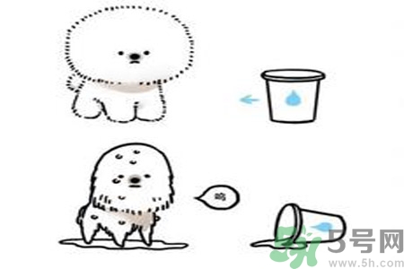 虛胖是什么原因？虛胖怎么辦？