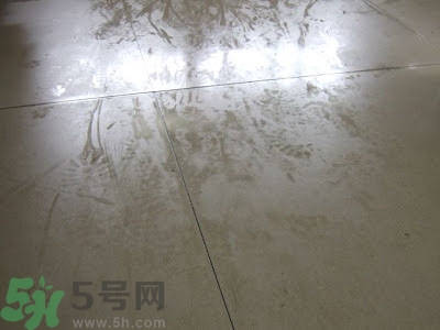 房間潮濕怎么辦？房間潮濕如何解決？