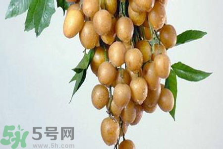 黃皮果是不是發(fā)物？黃皮果是發(fā)物嗎？